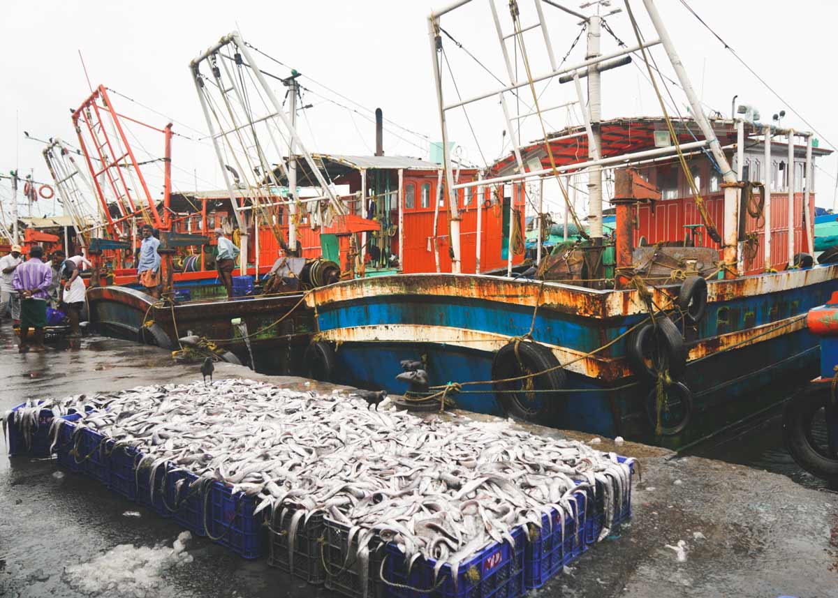 Kozhikode (Calicut) Faces Places and Plates