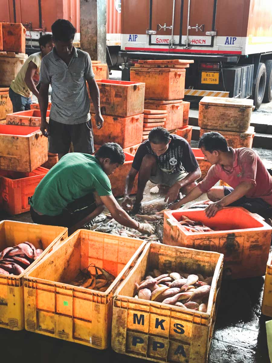 Fun things to do in Kozhikode (Calicut) - Faces Places and Plates