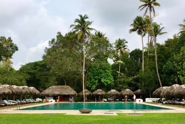 a pool with palm trees around it