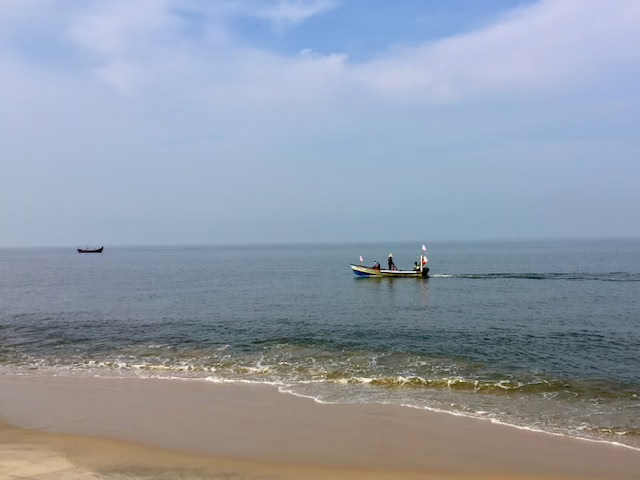 fishing boats on the water